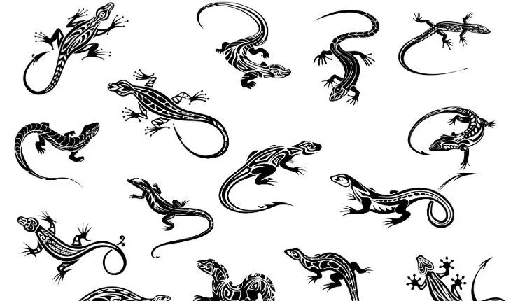 Lizard- Symbolism, Meaning and Superstitions